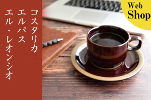 コスタリカ　エルバス　エル・レオンシオ